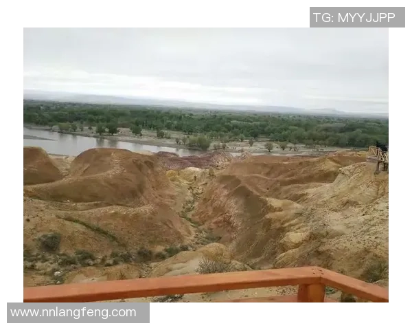 新疆与广东第三场精彩回放分析及赛后点评全记录