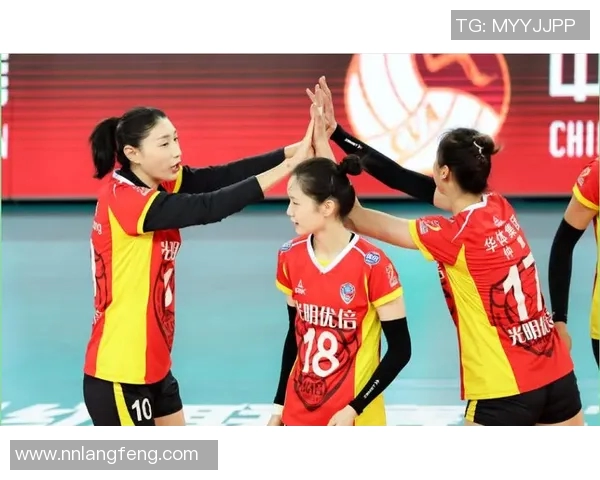 上海排球队进攻策略全解析深度剖析排球战术与团队协作