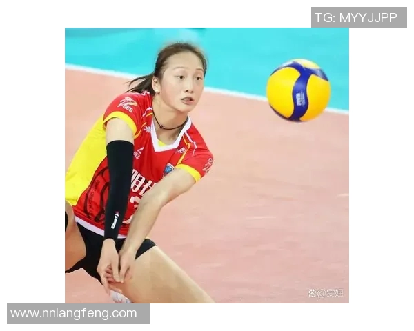 上海排球队强势崛起最新排球个人能力排行榜前十名揭晓